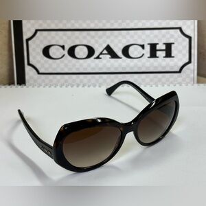 New Coach HC8177 L1588 524413 Dark Tortoise/Black Oversized Sunglasses